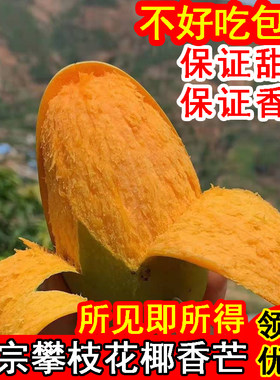 正宗攀枝花椰香芒果纯甜