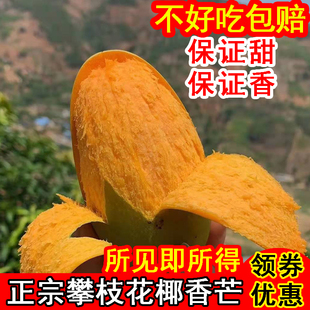 正宗攀枝花椰香芒果新鲜水果鸡蛋芒礼盒装整箱10包邮现摘非海南广