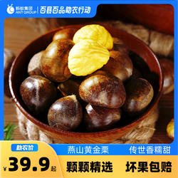 河北青龙板栗3斤精选大果