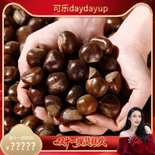 河北青龙老树油栗燕山山脉板栗