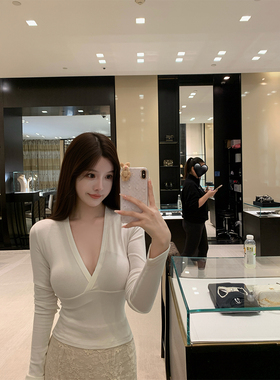 THE SWAN司凰轻奢 姐姐的小白T v领加绒磨毛内搭打底四色针织上衣