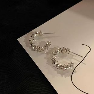 2025新款 轻奢碎银子冷淡风耳圈耳环耳钉爆款 女高级感圈圈气质耳饰