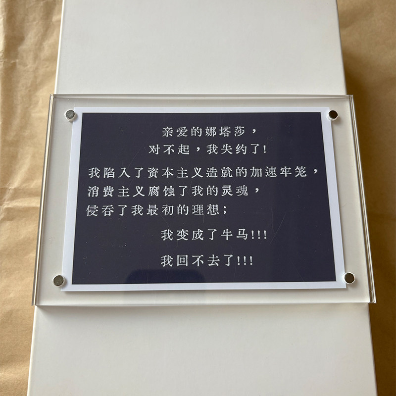 致娜塔莎 文艺范牛马文学趣味磁吸冰箱贴创意礼物2026新款