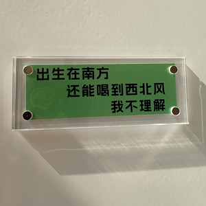 出生在南方还能喝到西北风我不理解 稀奇古怪趣味抽象磁吸冰箱贴