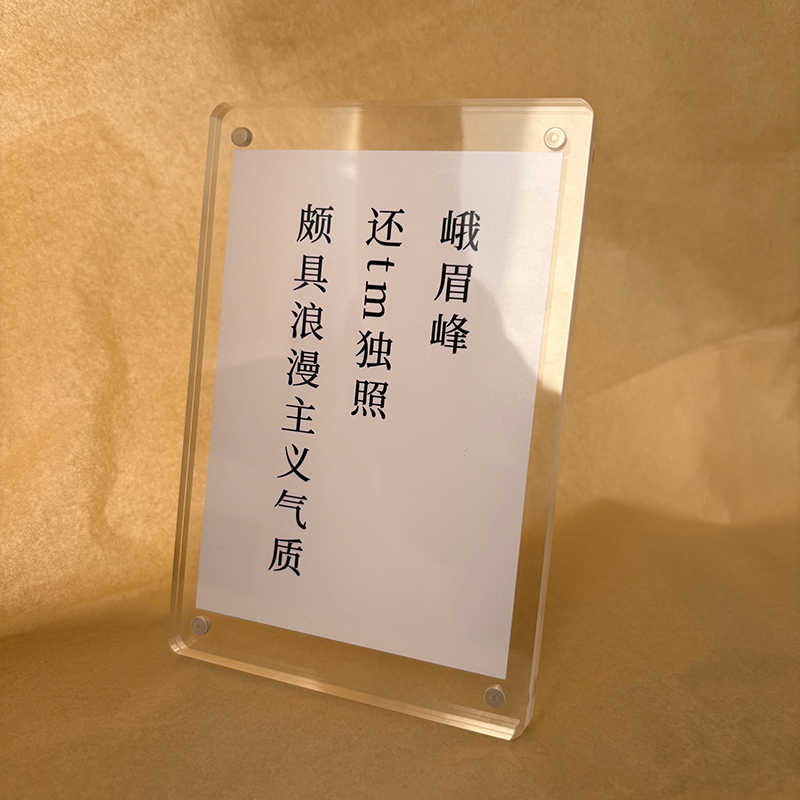 潜伏电视剧周边 办公室书桌桌面摆件摆台创意礼物小众高级感