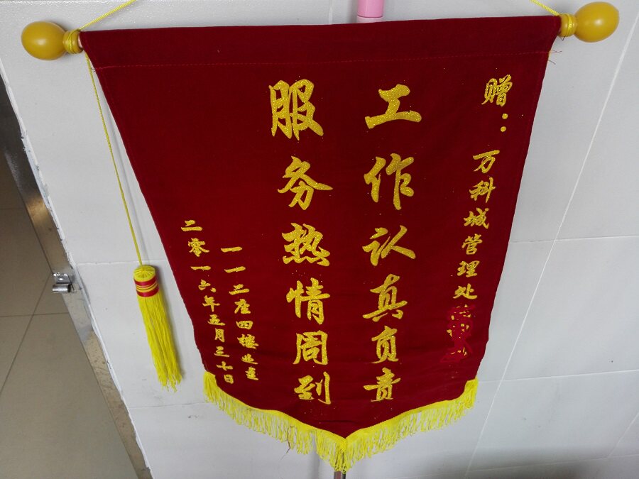 锦旗新款定做制作感谢医生护士月嫂送幼儿园老师驾校教练物业医院