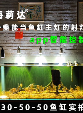 梅莉达发烧级鱼缸射灯