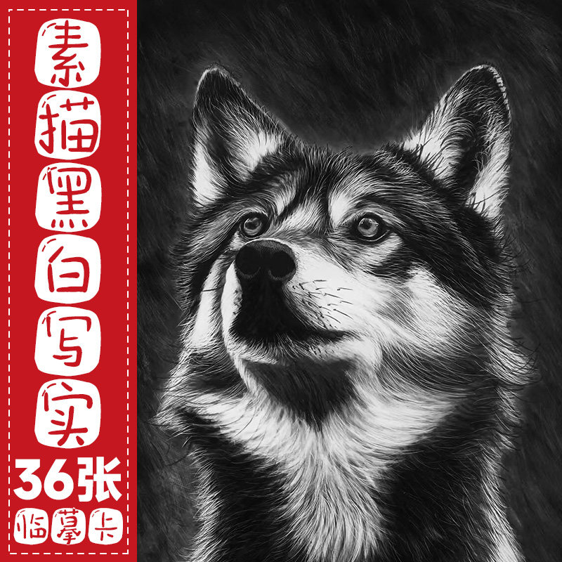 72】素描黑白写实初中高级临摹卡片少儿童男孩女孩创意美术绘画室