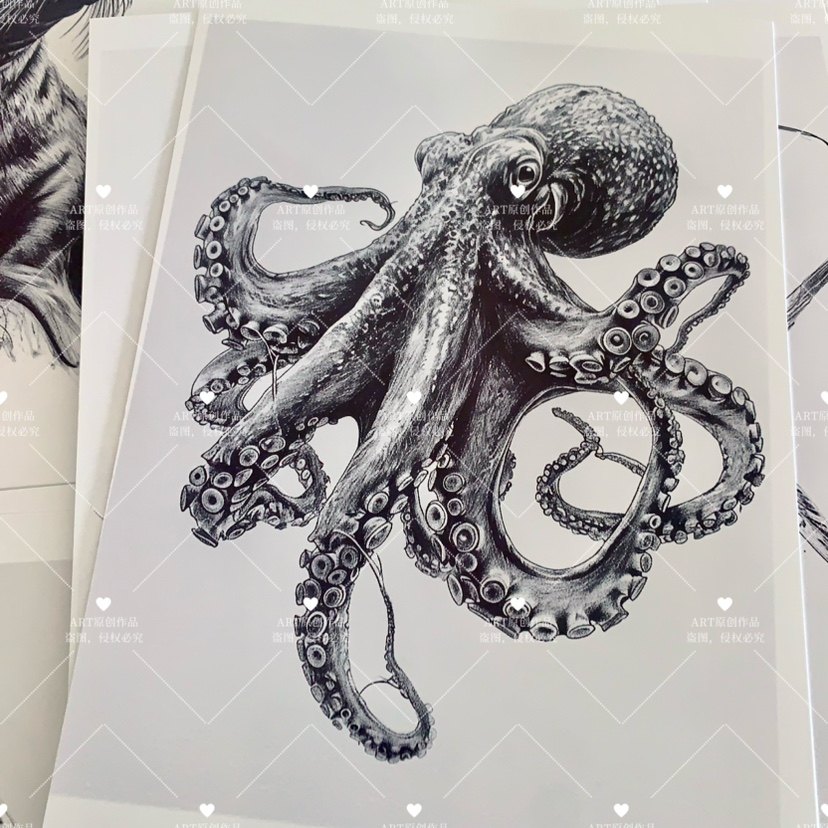 素描水中动物临摹卡儿童创意美术明信片高级素描精微素描范图