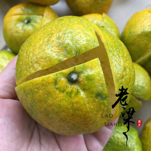 2025正宗新会茶枝柑陈皮干500克