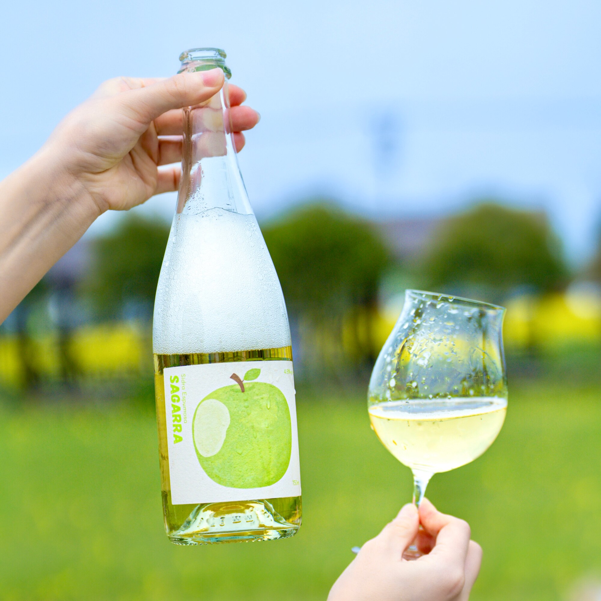 清甜脆爽青苹果~西班牙一大口苹果西打起泡酒Cider微醺气泡酒果酒