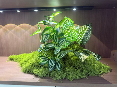 仿真绿植创意造景组合安装景观假苔藓植物装饰仿生楼梯草坪布置