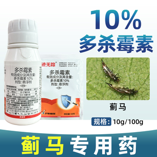 蓟马专用药沪联10%多杀霉素杀大虫药豇豆棉花棉铃虫农药杀虫剂