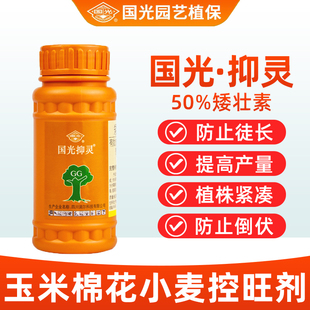 国光抑灵植物矮壮素控徒长玉米棉花提高产量控徒长小麦控旺矮化