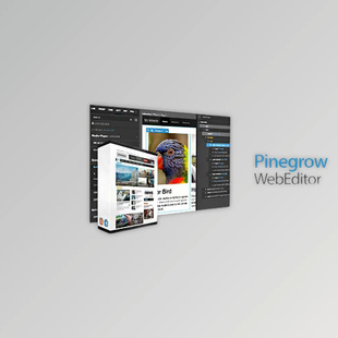Pro Humane v6.5 Editor Web Technologies Pinegrow