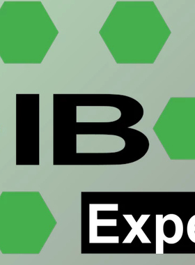 IBExpert Developer Studio v2024.12.04