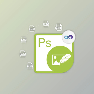 v25.2.0 Aspose.PSD for .NET 本 支持多版