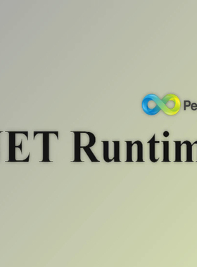 Perfinity dotNET Runtime Analyzer v9.0.3