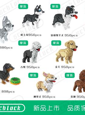 scblock  宠物狗 哈士奇 泰迪 雪纳瑞 古牧 柯基 腊肠犬