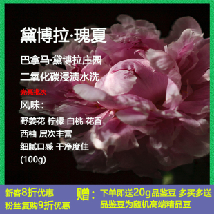 乔の巴咖啡巴拿马黛博拉庄园二氧化碳浸渍水洗瑰夏手冲精品咖啡豆