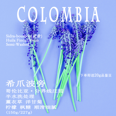 希爪波旁手冲咖啡豆哥伦比亚慧兰