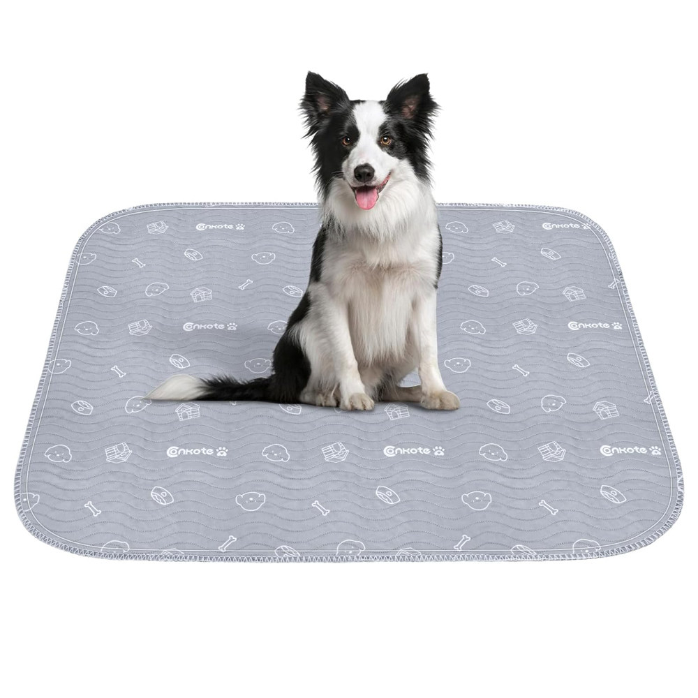 出口老美原单！可水洗2片装大号吸水防滑宠物垫 经期护理垫 尿垫,宠物/宠物食品及用品,猫狗垫子,淘宝优惠券,粉丝福利购,淘宝优惠卷