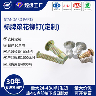 标牌铆钉滚花直纹斜纹网纹螺纹碳钢镀锌铭牌拉花柳钉非标定制