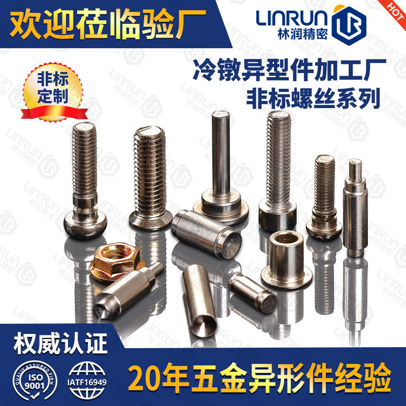 中山定制异型非标螺丝冷镦螺栓热锻特殊螺钉数控加工非标定制
