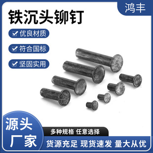实心铆钉平锥头铆钉 铁沉头铆钉GB869黑色 规格齐全