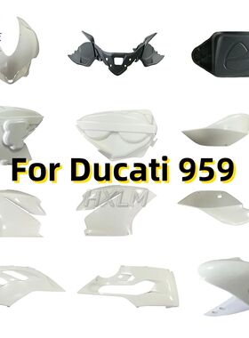 Motorcycle Fairing Kit Fits Ducati 959 1299 2015 2016 2017 2