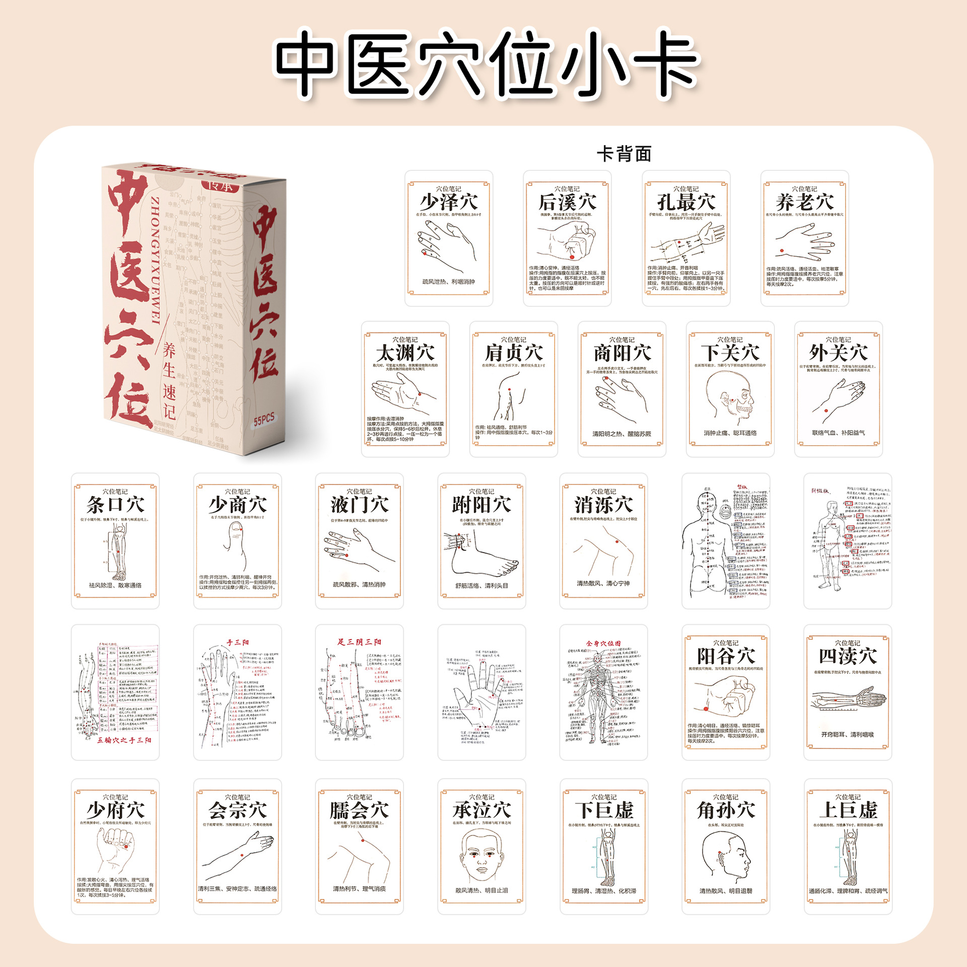 55张中医穴位学小卡科普历史文化知识辅助学习盒装名言明信卡片