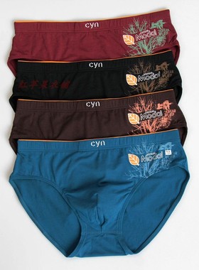 2条价 正品CYN创雅诺87110男士莫代尔肥佬裤三角裤立体裁剪男内裤
