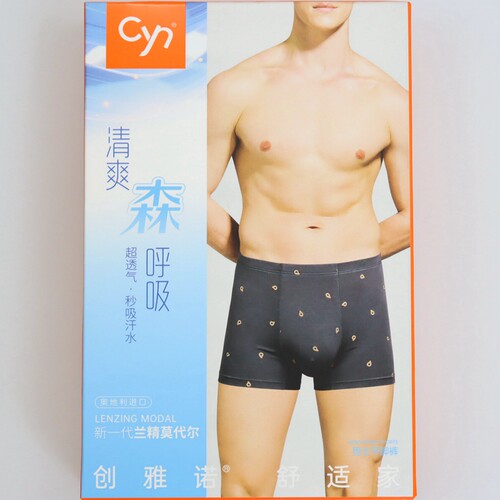 2条价CYN创雅诺莫代尔面料男内裤