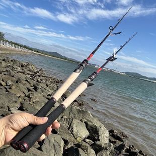 尾崎/雷之律者 进口富士2.21米XH超硬调打黑重雷巨物黑鱼竿雷强竿