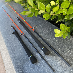 海魂/碳素龙凤稍168/185米一节半50号船钓竿鱿鱼鲅鱼实心稍海钓竿
