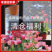 福利特价 清仓彩妆化妆品 美妆唇釉口红眼影眉笔眼影限量抢购