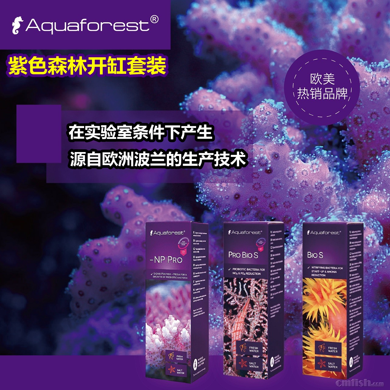 紫色森林益生菌超浓缩硝化细菌