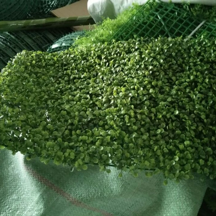 仿真米兰草坪塑料草坪加厚豆瓣草坪瓜子草草坪地毯绿化 墙景草坪
