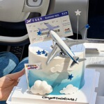 2025毕业季幼儿园升学小学初中高中大学幸福航班机票飞机蛋糕装饰