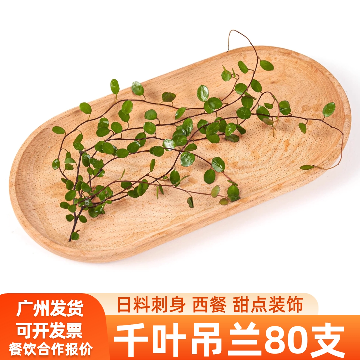 可开发票广州速发新鲜叶子图片