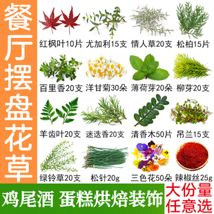 食品加工蛋糕烘焙装饰清香木叶子酒馆鸡尾酒薄荷餐厅酒楼摆盘花草