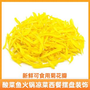 新鲜花瓣食用花菊花瓣酸菜鱼米线火锅日料刺身西餐厅摆盘装饰花草