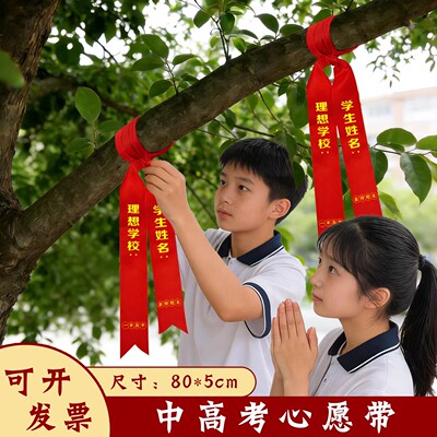 中高考励志许愿带百日誓师心愿带加油助威腕带挂树上红布条可定制