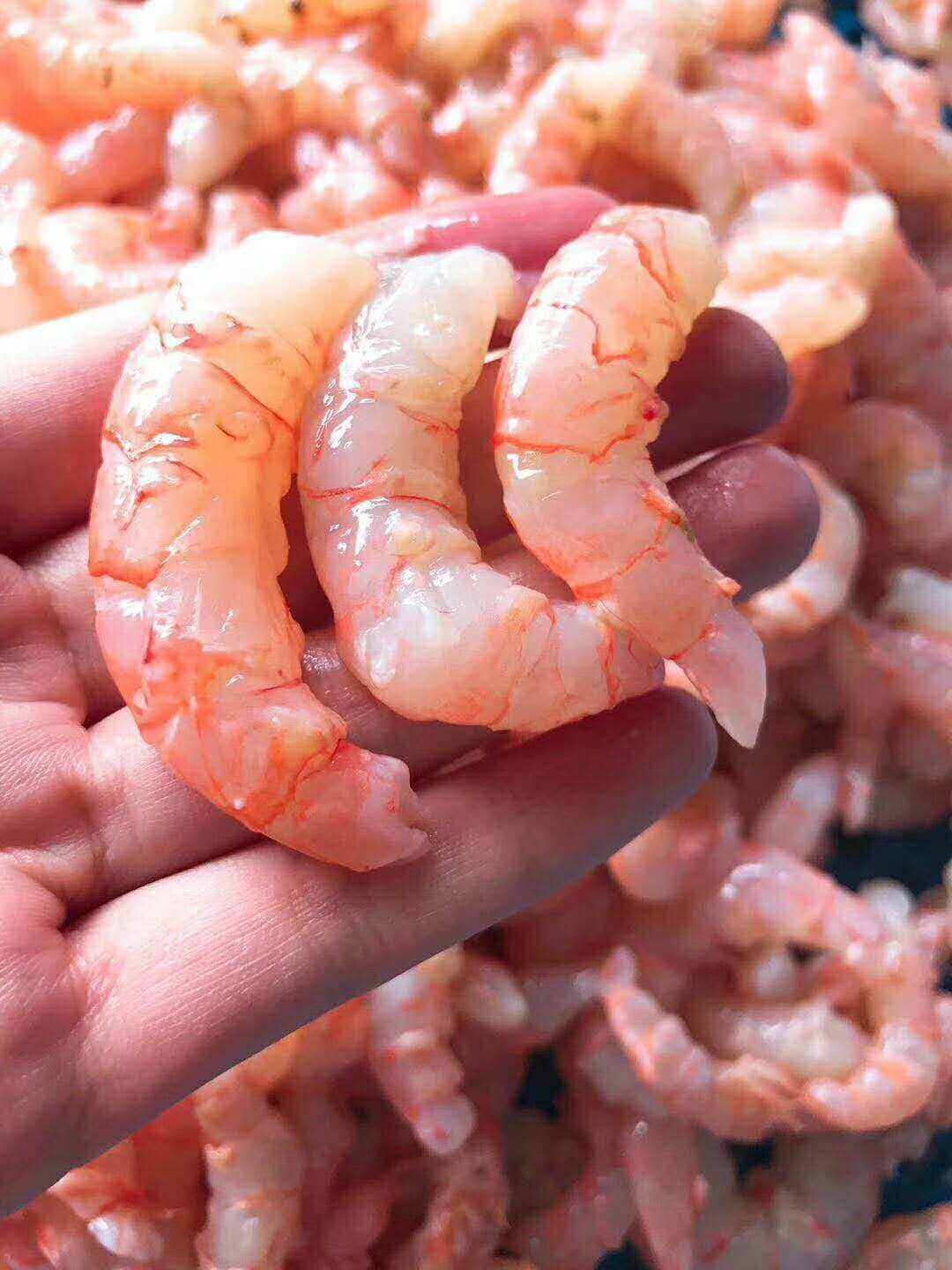 新鲜红虾仁 鲜虾仁 冰鲜红虾现剥 超低温无冰速冻生虾仁 鲜冻发货
