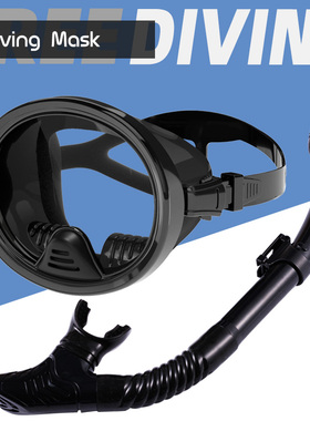 成人大视野浮潜水镜全干式呼吸管游泳防水面罩渔民镜排水阀出气阀