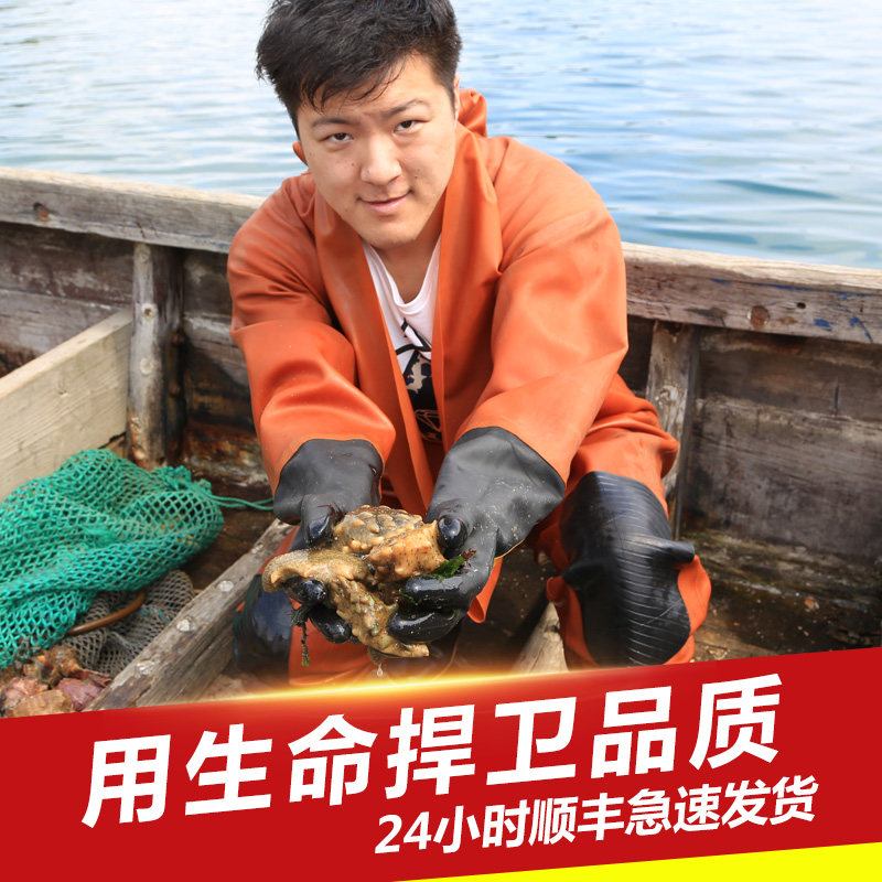 大连海参干货250g辽参刺参鲜活海生海渗淡干海参礼盒深海底播_虎窝淘