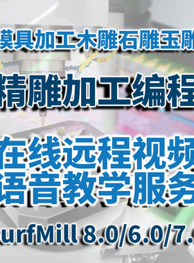 在线远程教学北京精雕SurfMill 8.0玉雕木雕石雕模具加工路径编程