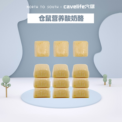 仓鼠金丝熊花枝鼠零食养老院