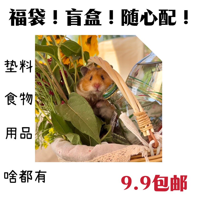 仓鼠金丝熊零食用品垫料福袋盲盒随心配！超惊喜！图片