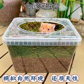 秋冬仓鼠金丝熊挖掘盒挖掘池挖掘箱花草干花天然除臭打洞玩耍厕所